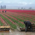 Working In The Weather. 